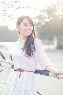 后宫露营在线观看